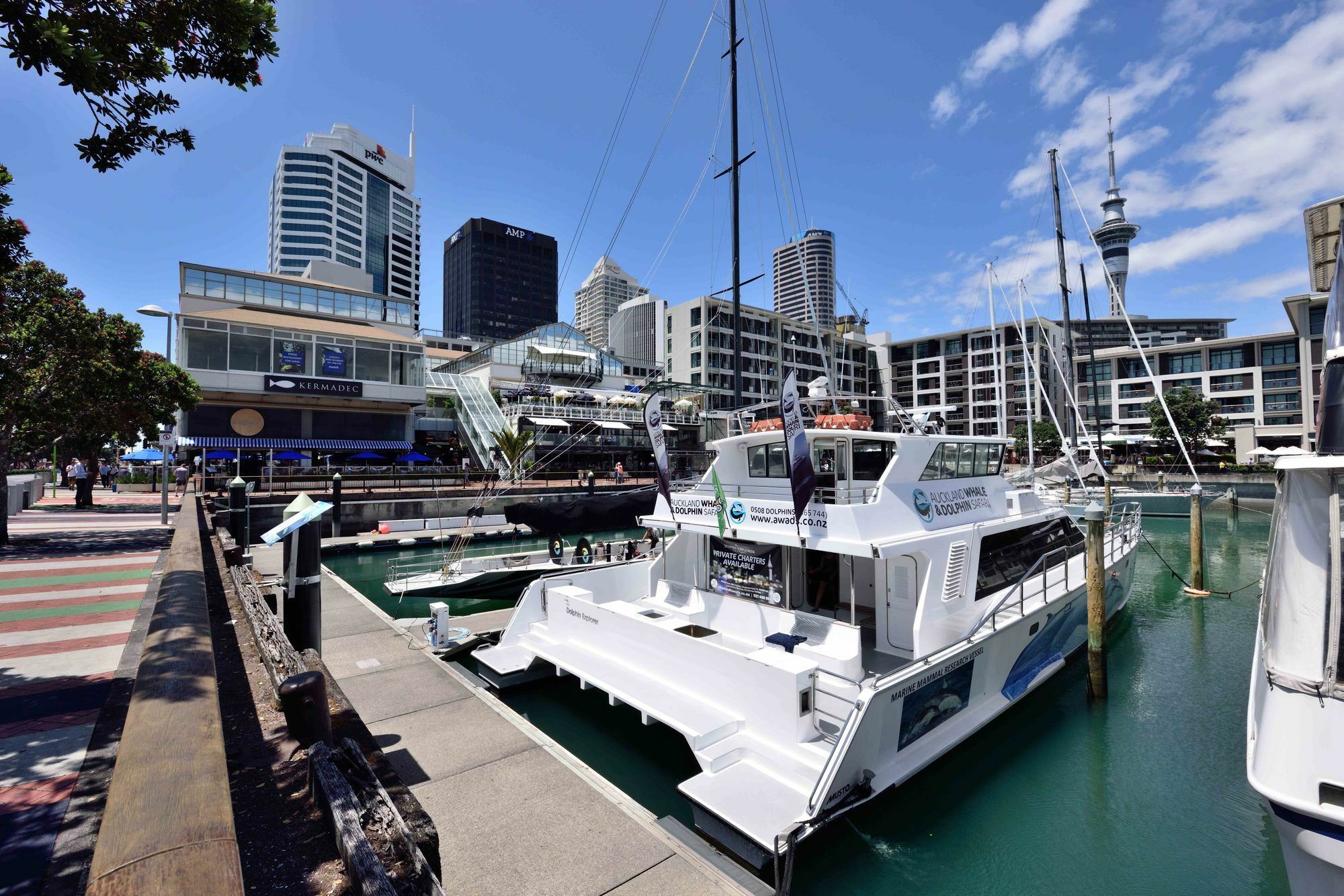 Furnished Apartment In Auckland Cbd Εξωτερικό φωτογραφία